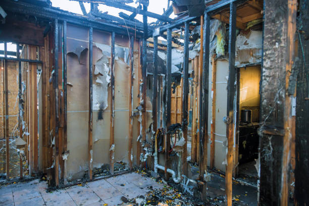 Professional Fire Damage Removal technician working in Cortland West, NY